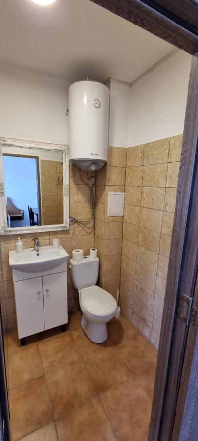 Veronica Apartment Piatra Neamt