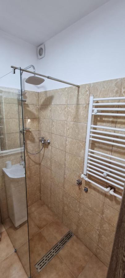 Veronica Apartment Piatra Neamt