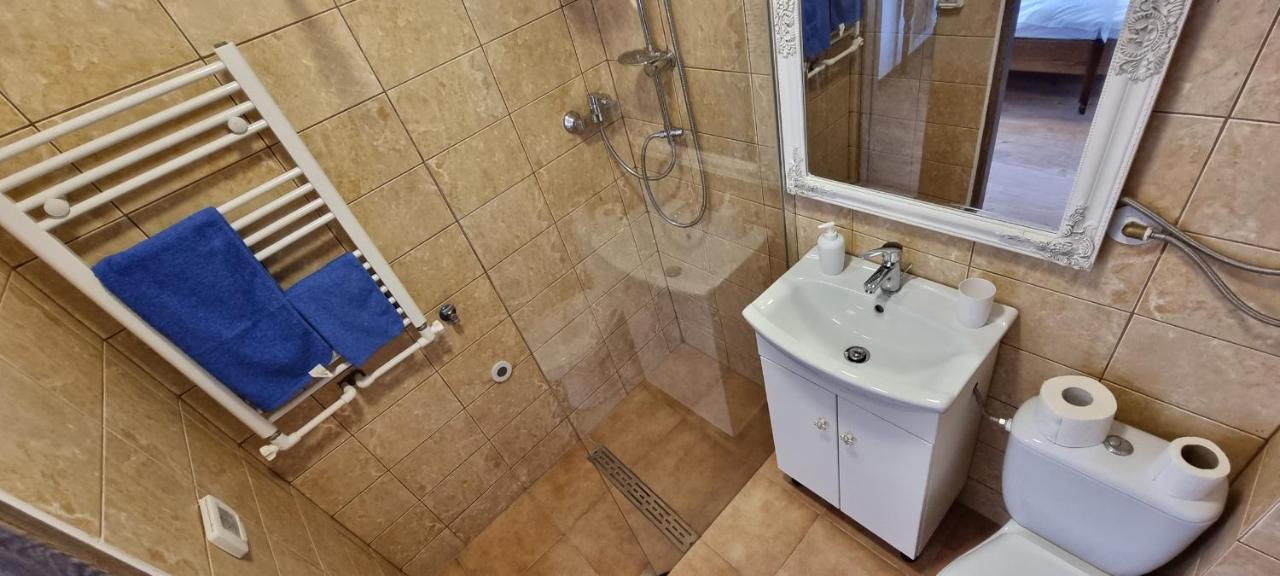 Veronica Apartment Piatra Neamt